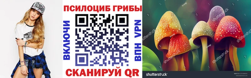 Псилоцибиновые грибы мицелий  Кириши 